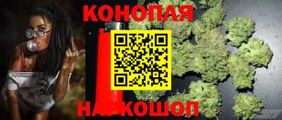 jwh Пенза