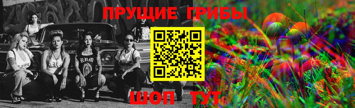 Сорочинск  Псилоцибиновые грибы MAGIC MUSHROOMS  купить наркоту  Вход с VPN 