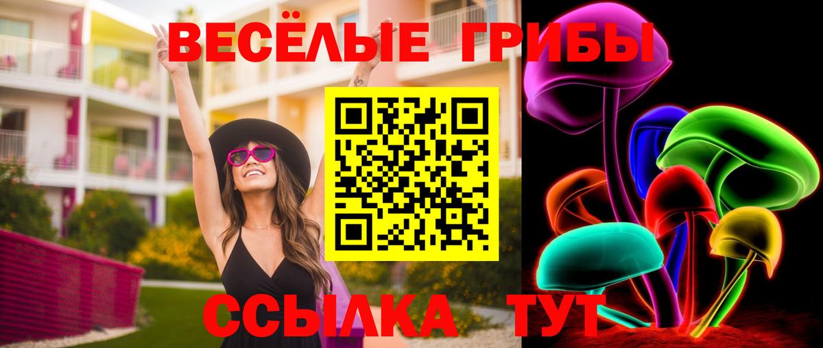 Псилоцибиновые грибы прущие грибы Сорочинск